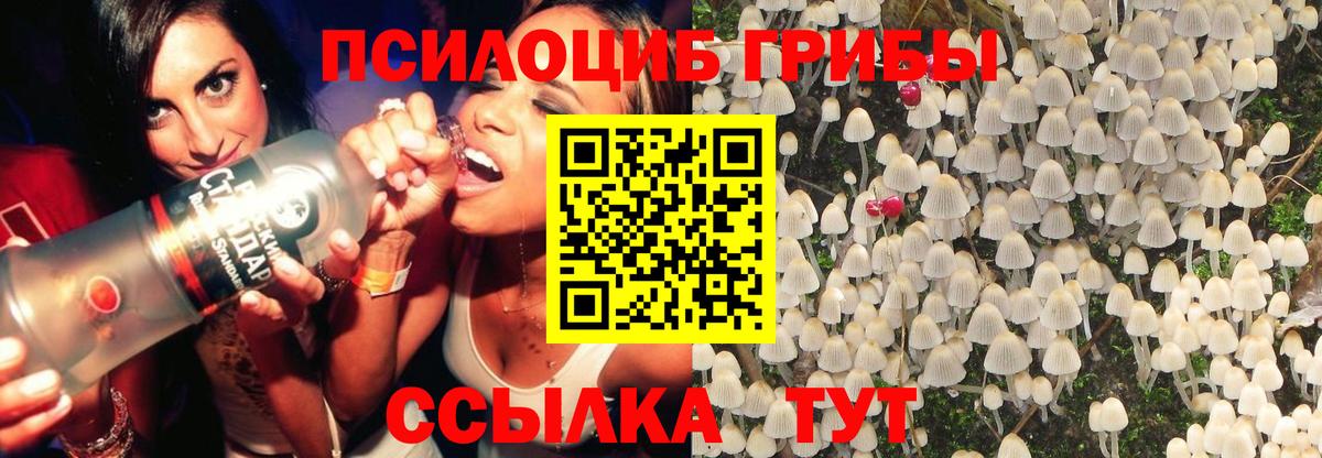 Псилоцибиновые грибы Magic Shrooms  Псилоцибиновые грибы мухоморы  Вход с VPN  Чебоксары 
